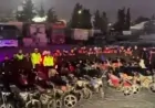 Şanlıurfa'da Çalıntı Motosiklet Operasyonu: 15 Şahsa İşlem Yapıldı