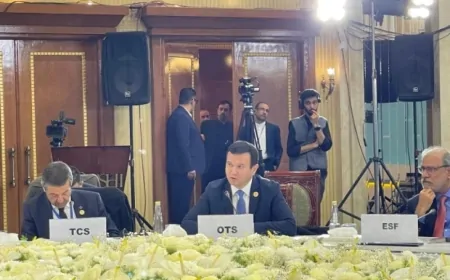 TDT Genel Sekreter Yardımcısı EİT Bakanlar Konseyi Toplantısına Hitap Etti