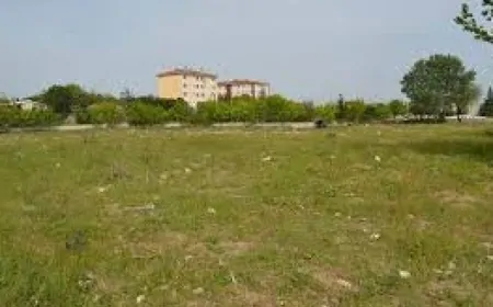 Çorlu'da Tam Olimpik Yüzme Havuzu Projesi Beklemede