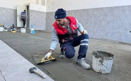 Çanakkale Belediyesi, Sokak Hayvanları İçin Mama Üretim Tesisi Kuruyor
