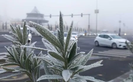Diyarbakır'da Sis ve Dondurucu Soğuk Etkili Oldu