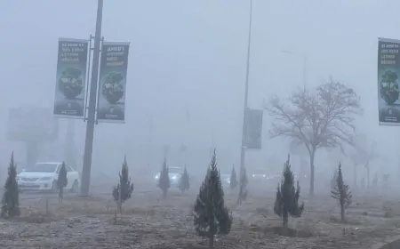 Diyarbakır'da Sis Ulaşımı ve Yaşamı Olumsuz Etkiledi