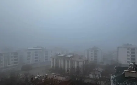 Elazığ’da Sabah Sis Etkili Oldu