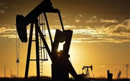Siirt’te Petrol Arama Ruhsatının Süresi Uzatıldı