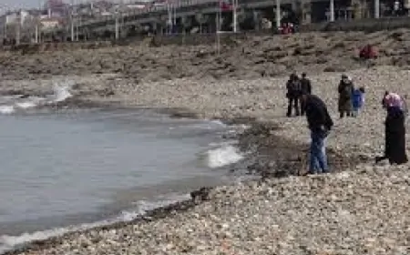 Trabzon'da Kıyı Talanına Tepki: Denizler Halkındır