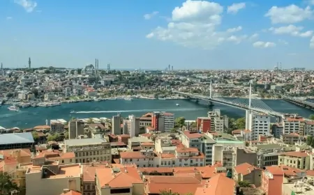 İstanbul'un Nüfus Yapısında En Çok Hangi İlden İnsan Yaşıyor? Sivas, Kastamonu, Ordu, Giresun, Tokat...