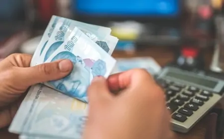Ocak Ayında En Çok Kazandıran Yatırım Aracı Belli Oldu