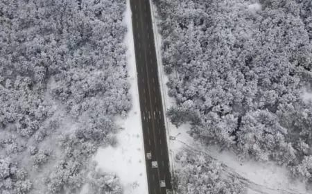 İstanbul'da Kar Yağışı Etkili Oldu, Aydos Ormanı Beyaza Büründü!