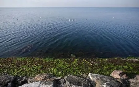 Ege Denizi'ndeki Depremler Turizmde Erken Rezervasyonları Olumsuz Etkilemedi