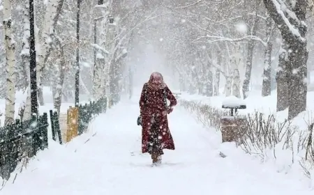 Yoğun Kar Yağışı Nedeniyle Eğitime Ara Verilen İller Belli Oldu!