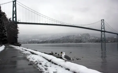 İstanbul'da Kar Engeli: 7 İlçede Okullar Tatil Edildi