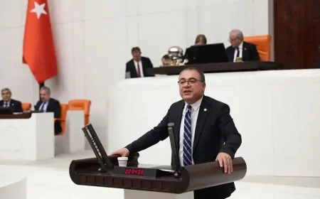 CHP Aydın Milletvekili Evrim Karakoz: 'Zeytin üreticisi de çiftçi de bitme noktasına geldi'