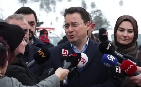Ali Babacan: 'Yangınlarda Sorumlular Net Olarak Belirlenmeli'