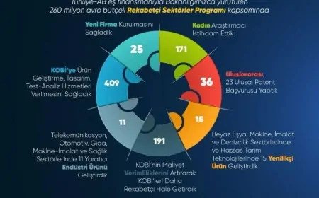 Rekabetçi Sektörler Programı: Türkiye’nin Ekonomik ve Teknolojik Dönüşümüne 260 Milyon Avroluk Destek
