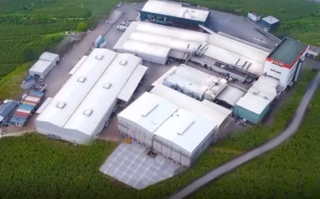 Balsu Gıda halka arz detayları: Katılım endeksi, bankalar ve lot bilgisi