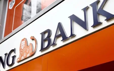 ING Türkiye'nin 2024 net kârı 2,2 milyar TL'ye ulaştı