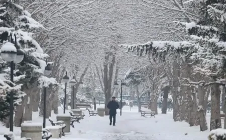 İstanbul’da Kar Yağışı Etkisini Artırdı: 7 İlçeye Sarı Kodlu Uyarı