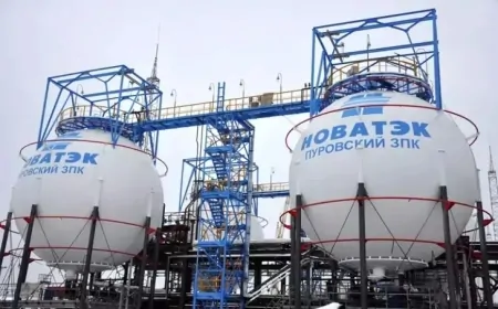 Novatek'in Net Karı 553 Milyar Rubleye Ulaştı, Gelirlerde Dikkat Çeken Artış