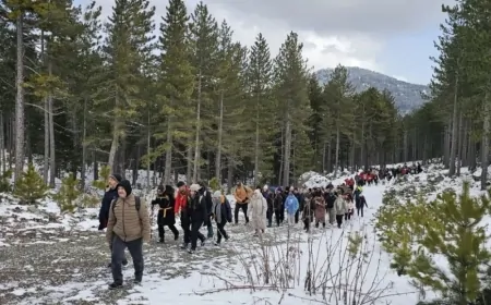 Anamas Dağı'nda 237 Doğa Tutkunu Kar Yürüyüşü Gerçekleştirdi