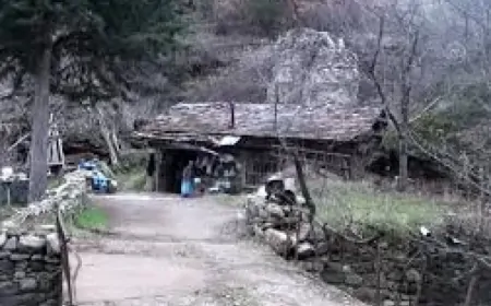 Manisa'da 200 Yıllık Değirmen Yeniden Çalışmaya Başladı