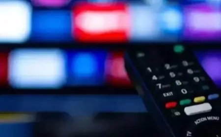 Bugün Hangi Diziler ve Programlar Var? 12 Şubat 2025 TV Yayın Akışı Güncellendi