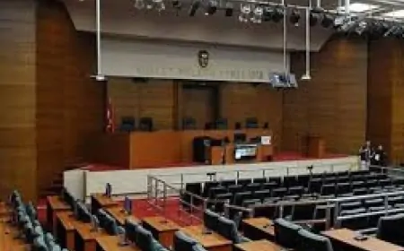 D.T.'nin Uyuşturucu Bağımlısı Olarak Doğduğu Mahkeme Kararına Yansıdı: Velayet Talebi Red Edildi