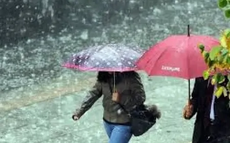 Trabzon’da parçalı ve çok bulutlu hava, yağış etkili olacak