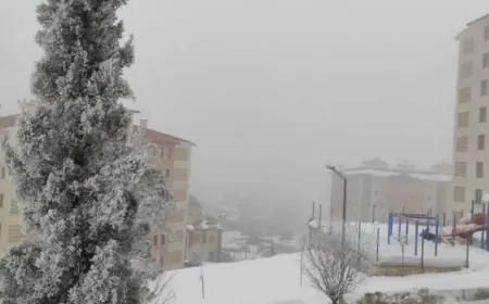 Muş’ta kar yağışı ve soğuk hava etkili olacak