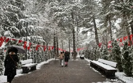 Kocaeli Hava Durumu: Karla Karışık Yağmur ve Kar Yağışı Bekleniyor