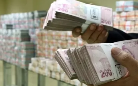 KKM’den Çıkan 2,4 Trilyon Lira Sonrası Dövize Geçiş Beklentiyi Aşmadı