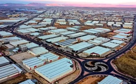 Türkiye'den Cenin'e yatırım hamlesi: Serbest Sanayi Bölgesi için destek