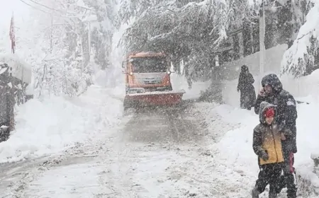 Trabzon’da yağmur etkili olacak: Yüksek kesimlerde kar bekleniyor