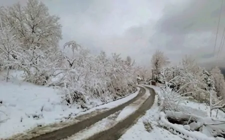 Artvin’de yağmur ve yüksek kesimlerde kar yağışı bekleniyor