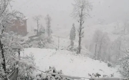 Rize’de yağmur etkili olacak: Yüksek kesimlerde kar bekleniyor