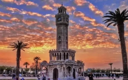 Türkiye’de süt üretimi arttı: TÜİK 2024 verilerini açıkladı