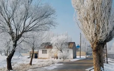 Ağrı’da dondurucu soğuk ve kar yağışı etkili olacak
