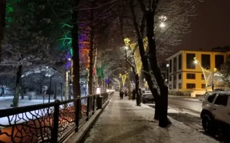 Bingöl’de yoğun kar yağışı bekleniyor: İşte ilçe ilçe hava durumu