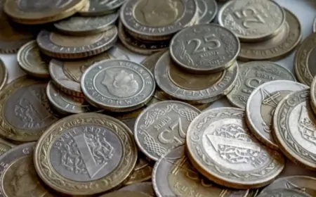 Cebinde 1 TL olan hemen kontrol ediyor! 2014 basım hatalı paralar değer kazandı!