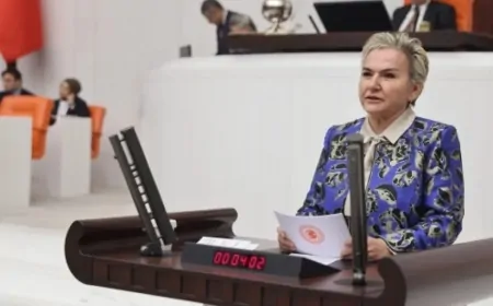 CHP'li Nimet Özdemir: 'Sokak Hayvanlarının Yok Edilmesi, Toplum Olarak Sınavı Geçemediğimizin Göstergesidir'