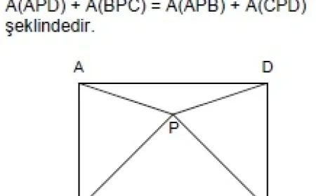 Yamuk Nedir, Özellikleri ve Alan Hesaplama Yöntemleri Nelerdir?