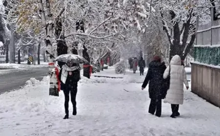 Yalova'da Kar Yağışı Başladı! Sürücüler ve Yayalar İçin Uyarılar Yapıldı