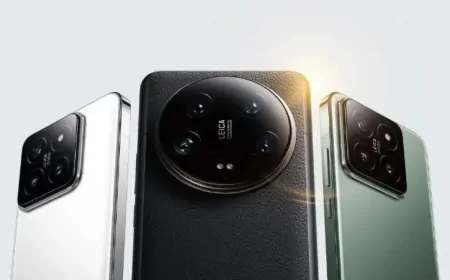 Xiaomi’nin Kasım 2024 En İyi Telefon Modelleri: Hangi Modeli Almalı?