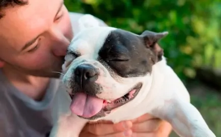 Köpekler, İnsanlar Gibi, Göz Kırpışıyla Bağ Kurabiliyor