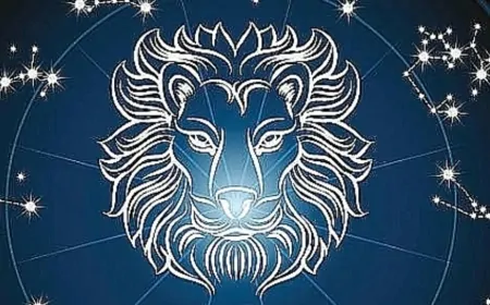 Aslan Burcu 21 Şubat'ta Yaratıcılığını Zirveye Taşıyor! Güçlü Zihin ve Romantik Anlar Sizi Bekliyor