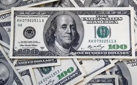 Ekonomistler dolar tahminlerini açıkladı: Yılın ilk yarısında bu seviyeler görülebilir