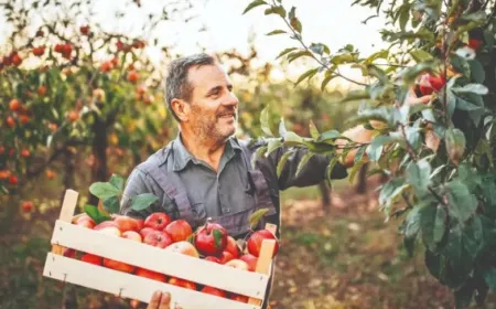Yerli girişimciler modern tarımla yatırımcıların radarında