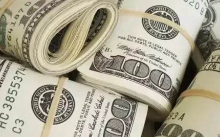 Yurt İçi Yerleşiklerin Döviz Mevduatları 4,3 Milyar Dolar Arttı