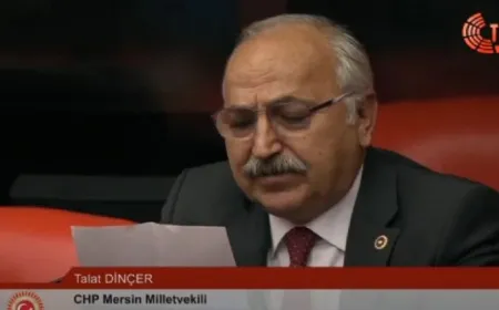 CHP’li Talat Dinçer: 'Mersin’de don afeti üreticiyi bitme noktasına getirdi, acil destek sağlanmalı'