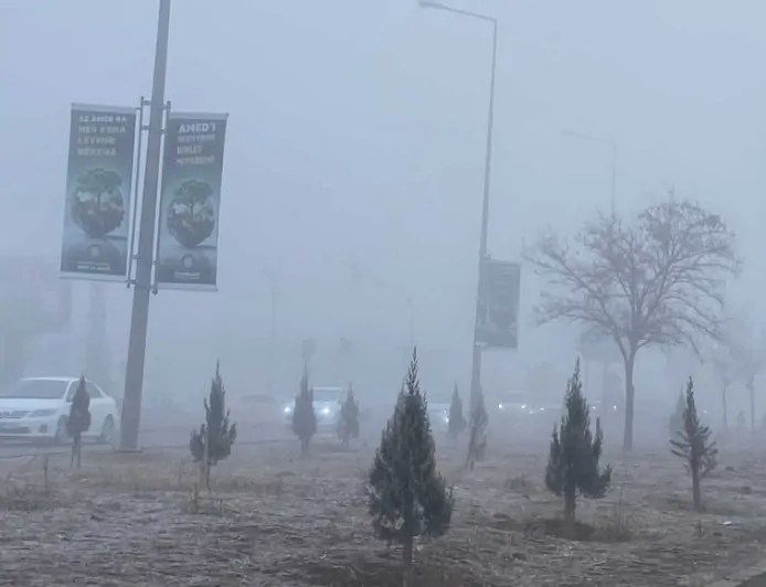Diyarbakır'da Sis Ulaşımı ve Yaşamı Olumsuz Etkiledi