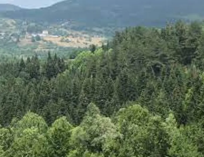 Kastamonu Ormanlarında 7/24 Koruma Çalışmaları Sürüyor